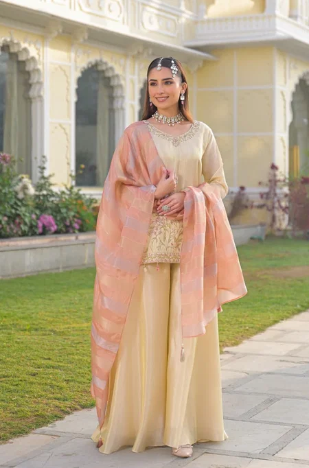 Misha Savri By Afsana Viscose Shimmer Surat Readymade Suits Wholesale Market